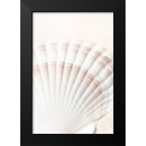 Studio III - Shell  Black Modern Wood Framed Art Print by Studio III