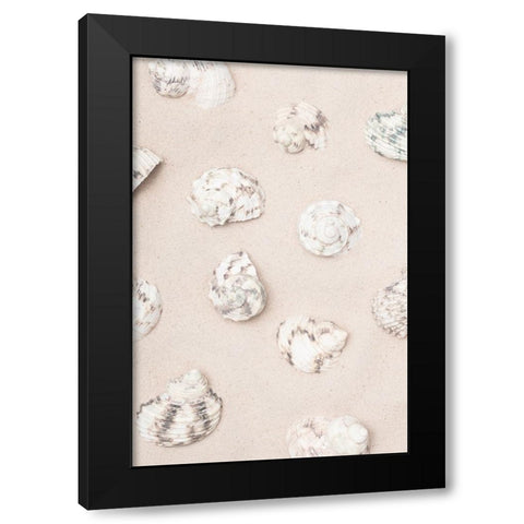 Studio III - Shells II  Black Modern Wood Framed Art Print by Studio III