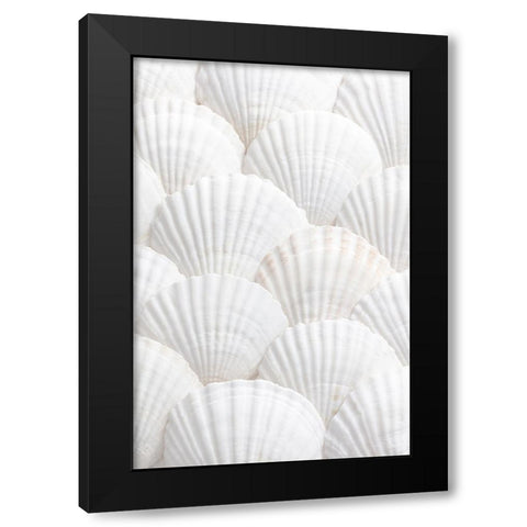 Studio III - Shells III  Black Modern Wood Framed Art Print by Studio III
