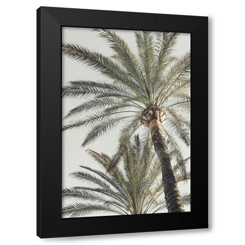 Studio III - Palm 005  Black Modern Wood Framed Art Print with Double Matting by Studio III