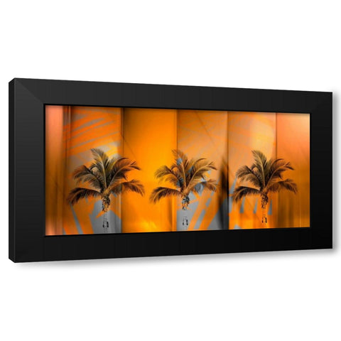 Tropicana Black Modern Wood Framed Art Print with Double Matting by PI Studio