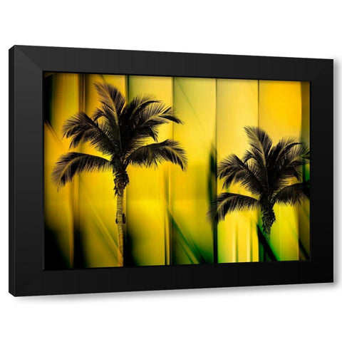 Two Palms Black Modern Wood Framed Art Print with Double Matting by PI Studio