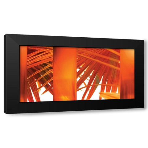 Juicy Black Modern Wood Framed Art Print with Double Matting by PI Studio