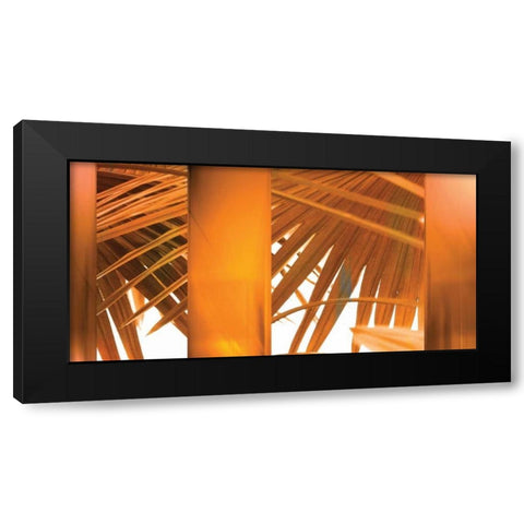 Tangerine Black Modern Wood Framed Art Print with Double Matting by PI Studio