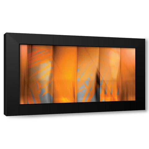 Tangerine on Grey Black Modern Wood Framed Art Print with Double Matting by PI Studio