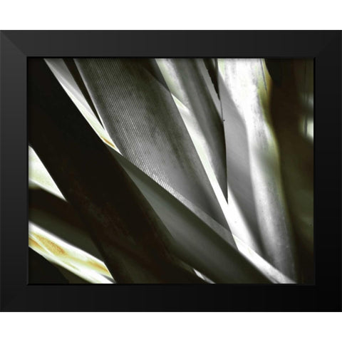 Transparent Black Modern Wood Framed Art Print by PI Studio