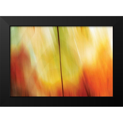 Tie Dye I Black Modern Wood Framed Art Print by PI Studio