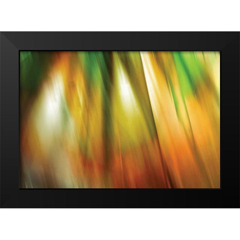 Tie Dye II Black Modern Wood Framed Art Print by PI Studio