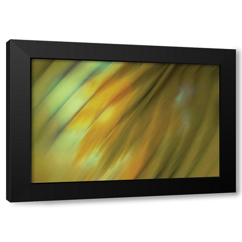 Tie Dye III Black Modern Wood Framed Art Print with Double Matting by PI Studio