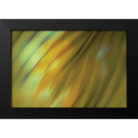 Tie Dye III Black Modern Wood Framed Art Print by PI Studio