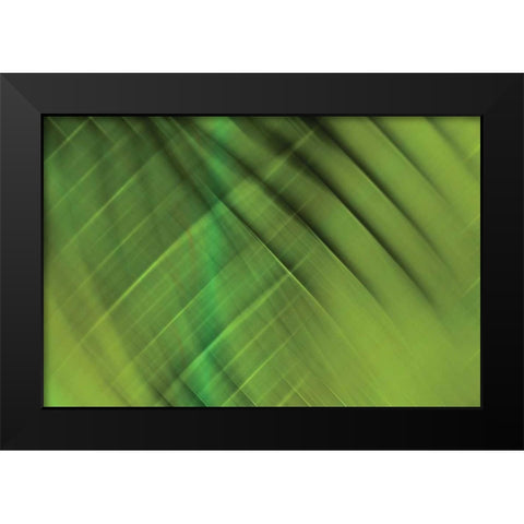 Tie Dye IV Black Modern Wood Framed Art Print by PI Studio