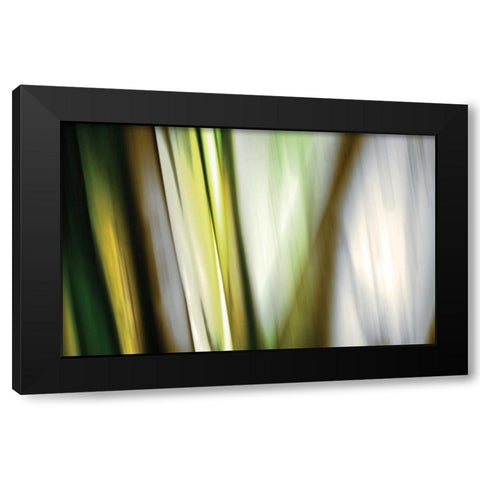 Organic II Black Modern Wood Framed Art Print with Double Matting by PI Studio