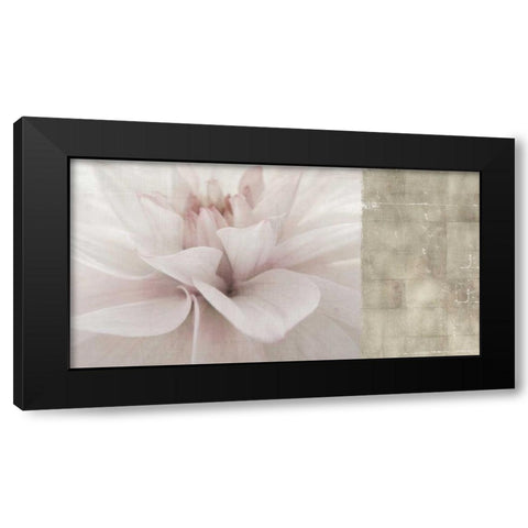 Softness Black Modern Wood Framed Art Print with Double Matting by PI Studio