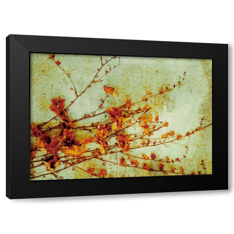 Persimmon Black Modern Wood Framed Art Print with Double Matting by PI Studio