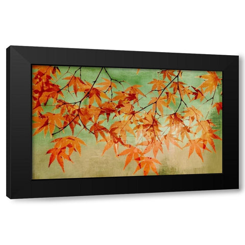 Canopy Black Modern Wood Framed Art Print with Double Matting by PI Studio