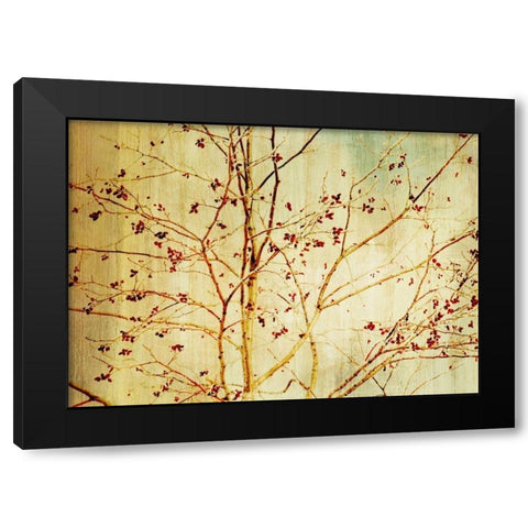 Etched Black Modern Wood Framed Art Print with Double Matting by PI Studio