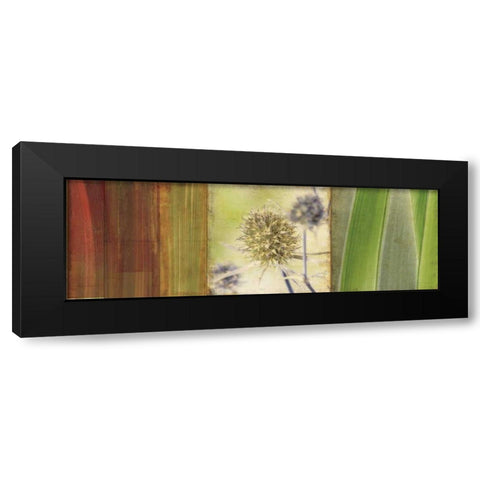 Organics Black Modern Wood Framed Art Print with Double Matting by PI Studio