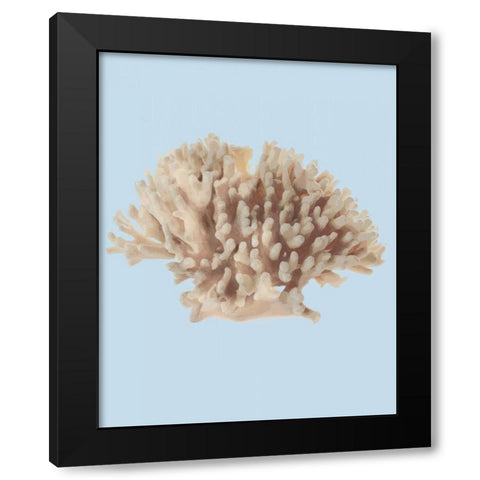 Coral I Black Modern Wood Framed Art Print with Double Matting by PI Studio