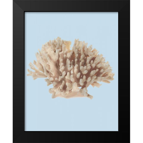 Coral I Black Modern Wood Framed Art Print by PI Studio