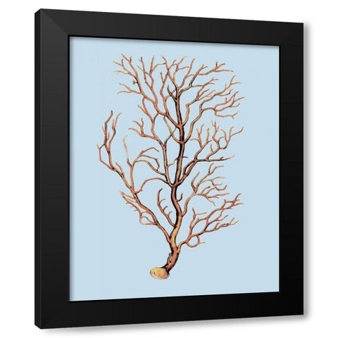 Coral IV Black Modern Wood Framed Art Print with Double Matting by PI Studio