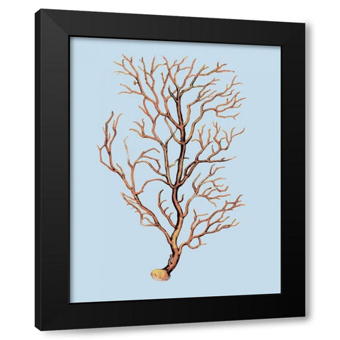 Coral IV Black Modern Wood Framed Art Print by PI Studio