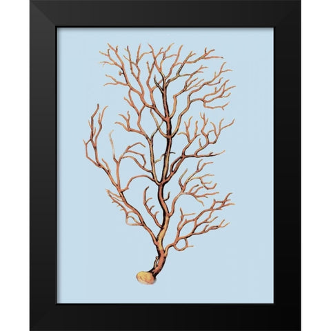 Coral IV Black Modern Wood Framed Art Print by PI Studio