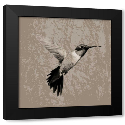 Feathered I Black Modern Wood Framed Art Print with Double Matting by PI Studio