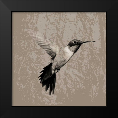 Feathered I Black Modern Wood Framed Art Print by PI Studio