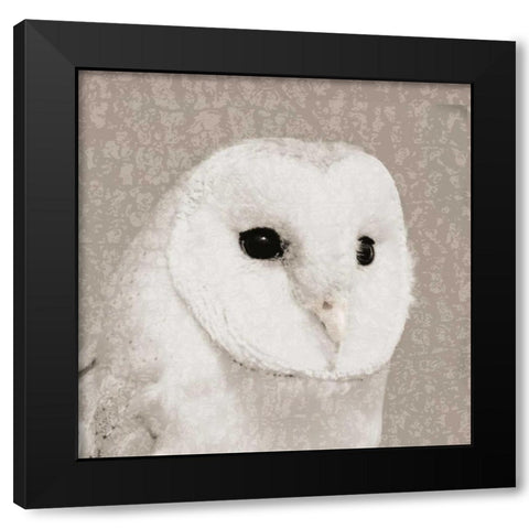 Feathered II Black Modern Wood Framed Art Print with Double Matting by PI Studio