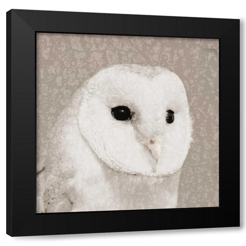 Feathered II Black Modern Wood Framed Art Print by PI Studio