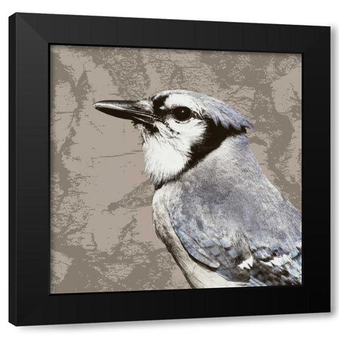 Feathered III Black Modern Wood Framed Art Print with Double Matting by PI Studio
