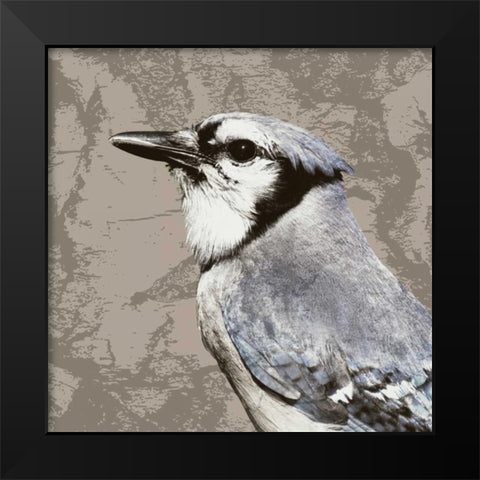 Feathered III Black Modern Wood Framed Art Print by PI Studio