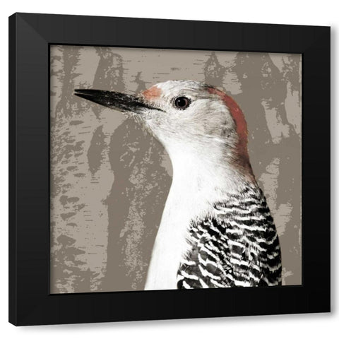 Feathered IV Black Modern Wood Framed Art Print with Double Matting by PI Studio