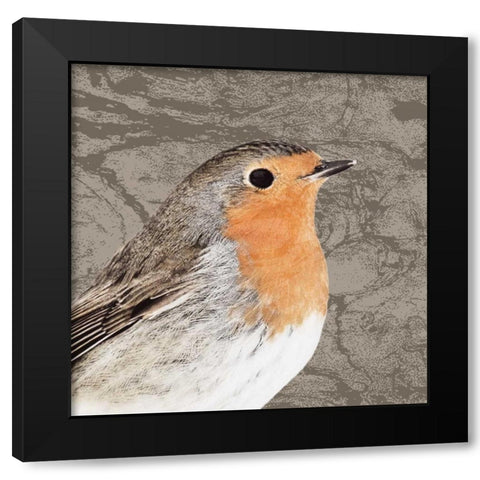 Feathered V Black Modern Wood Framed Art Print with Double Matting by PI Studio