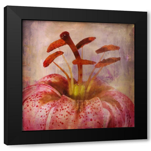 LOVELY LILY I Black Modern Wood Framed Art Print with Double Matting by PI Studio