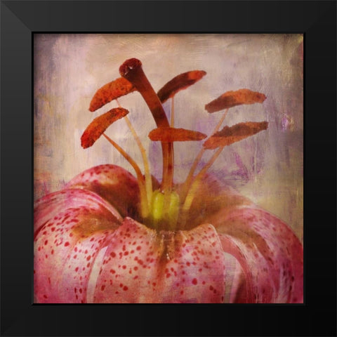 LOVELY LILY I Black Modern Wood Framed Art Print by PI Studio