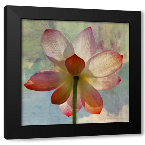 LOVELY LILY II Black Modern Wood Framed Art Print with Double Matting by PI Studio