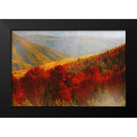 Crimson Country Black Modern Wood Framed Art Print by PI Studio