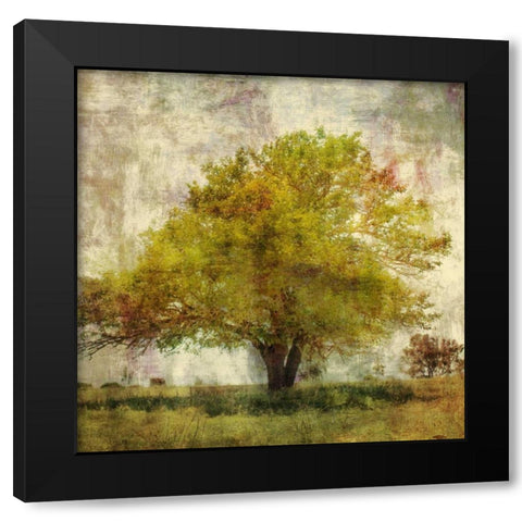 Vintage Tree Black Modern Wood Framed Art Print with Double Matting by PI Studio