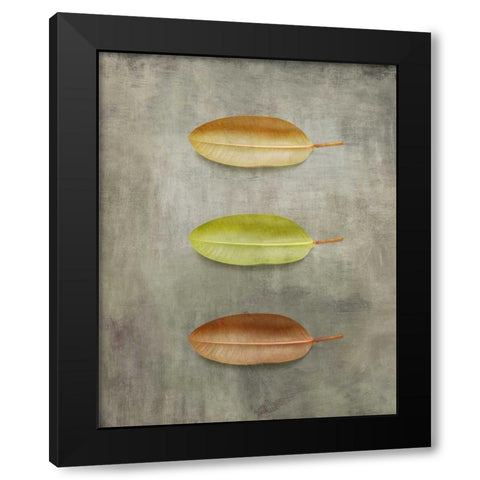 STUDY II Black Modern Wood Framed Art Print with Double Matting by PI Studio