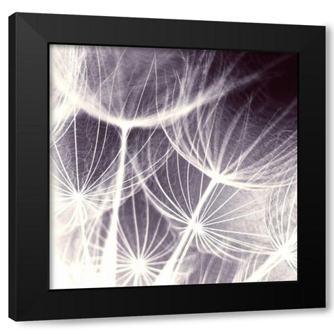 Blown Away Black Modern Wood Framed Art Print with Double Matting by PI Studio