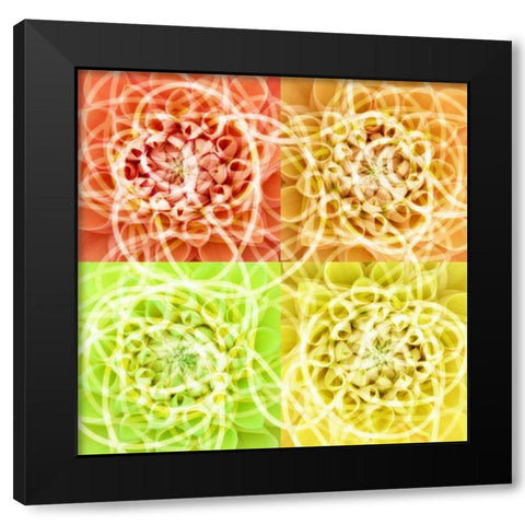 scribbles Black Modern Wood Framed Art Print with Double Matting by PI Studio