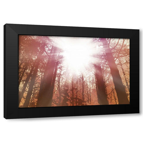 Sun Dance Black Modern Wood Framed Art Print with Double Matting by PI Studio