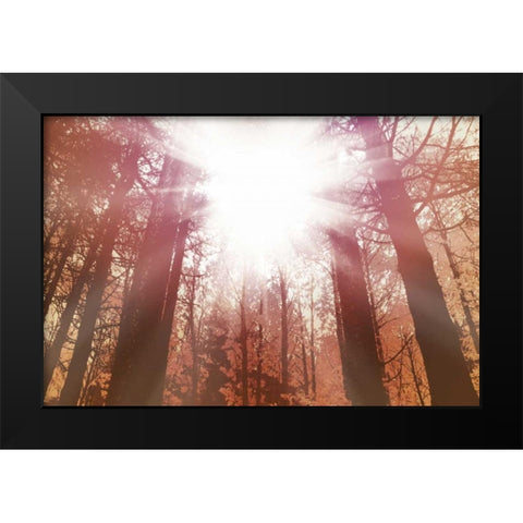 Sun Dance Black Modern Wood Framed Art Print by PI Studio