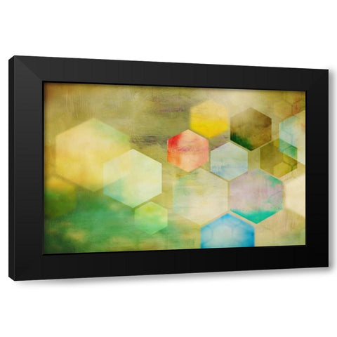 Honeycomb I Black Modern Wood Framed Art Print with Double Matting by PI Studio