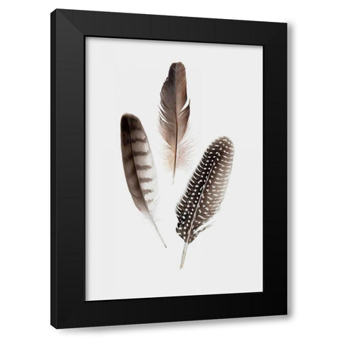 Feathers I Black Modern Wood Framed Art Print with Double Matting by PI Studio