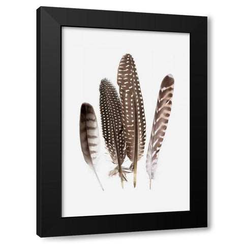 Feathers II Black Modern Wood Framed Art Print with Double Matting by PI Studio