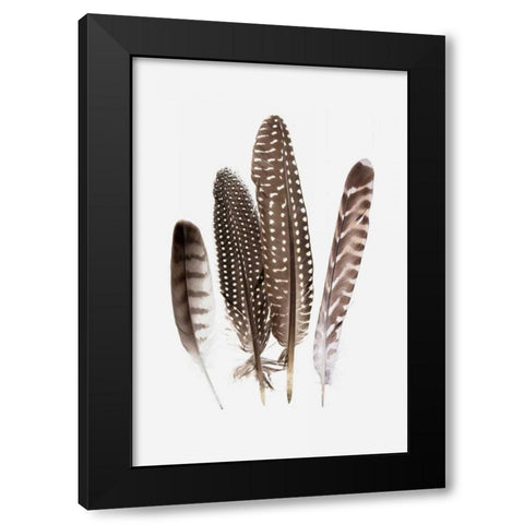 Feathers II Black Modern Wood Framed Art Print by PI Studio