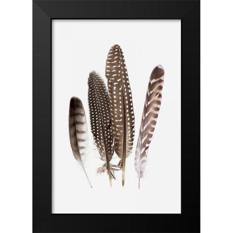 Feathers II Black Modern Wood Framed Art Print by PI Studio