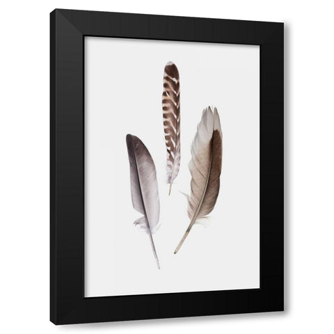 Feathers III Black Modern Wood Framed Art Print with Double Matting by PI Studio